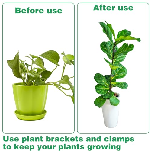 CANIPHA 10pcs Green Plant Support Stakes with 15pcs Clips, Bendable Stakes for Tall Plants, Indoor & Outdoor Use - Image 5