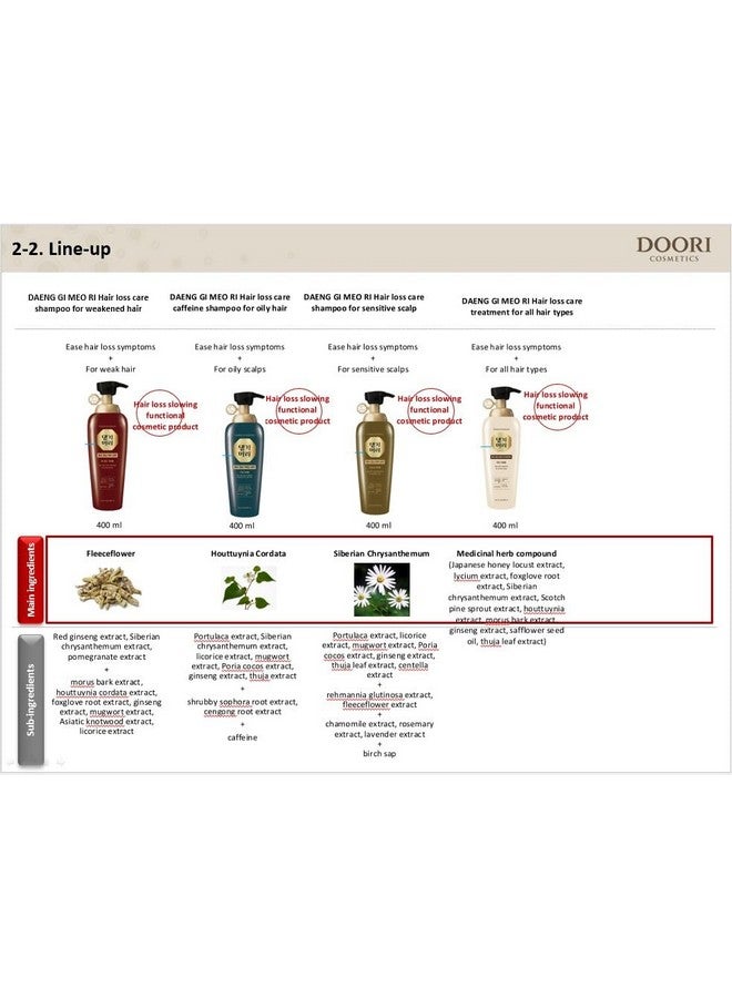 DAENG GI MEO RI - Houttuynia Cordata Herbal Extracts Shampoo For Hair Loss Care And Oily Hair, K-Beauty, Effective Scalp Cleansing, Caffeine-Infused Formula, 13.5 Fl Oz - Image 2