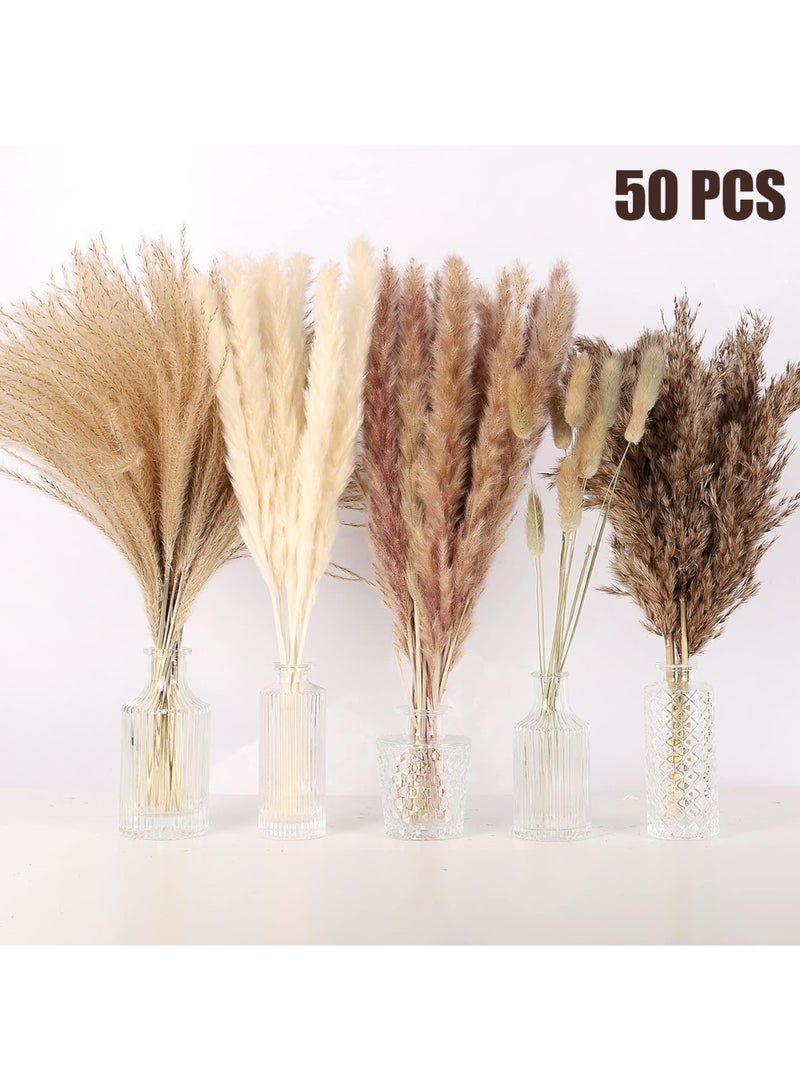 LuckSa Dried Pampas Grass Decor- White Pampas Grass, Brown Pampas, Bunny Tail, Reed, Fluffy Dried Pompas Grass Flower for Home Wedding Table Vase Boho Modern Decor, 50Pcs - Image 1