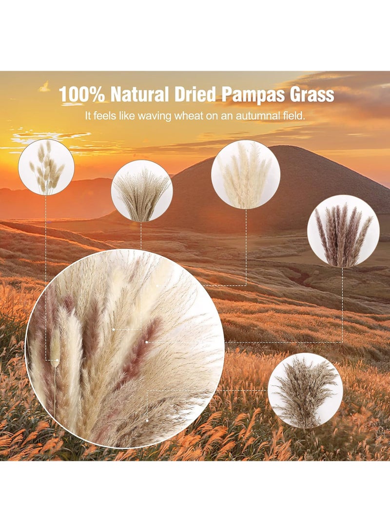 LuckSa Dried Pampas Grass Decor- White Pampas Grass, Brown Pampas, Bunny Tail, Reed, Fluffy Dried Pompas Grass Flower for Home Wedding Table Vase Boho Modern Decor, 50Pcs - Image 3