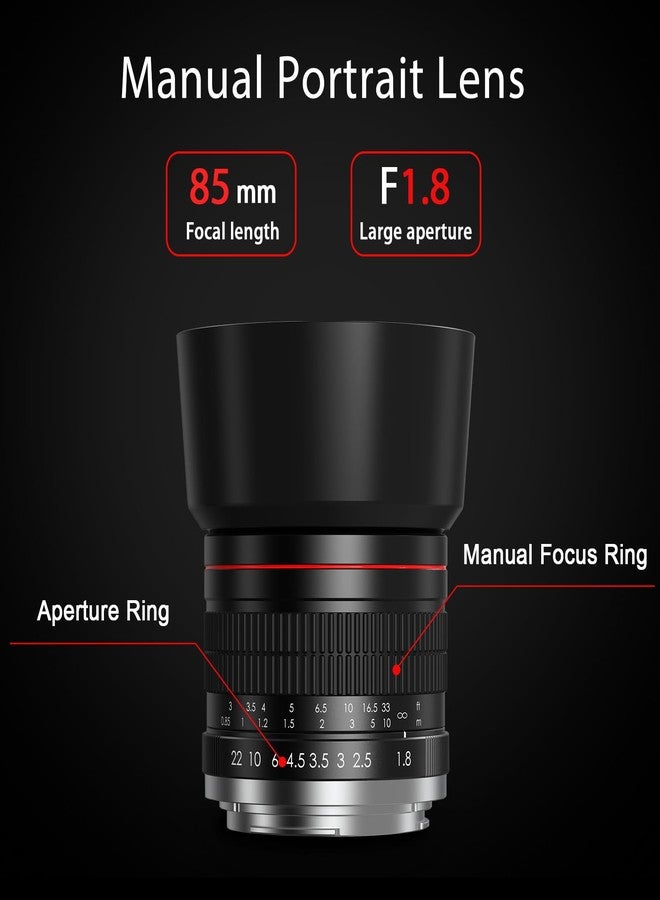 BENOISON 85mm Lens for Canon RF - 85mm f1.8 Portrait Lens Manual Focus(MF) for Canon EOS R/Ra/RP/R3/R5/R5 C/R6/R6 Mark II /R7/R8/R10/R50/R100 Mirrorless Camera (for Canon R-Series) - Image 3