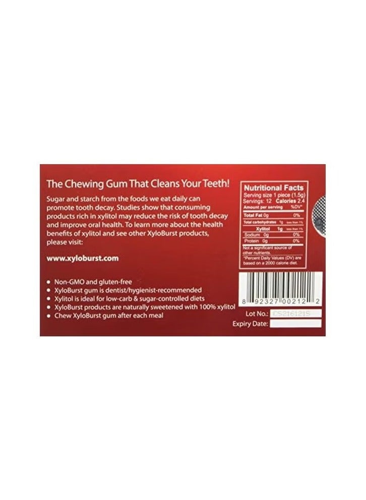 زيلوبرست علكة زيليتول بنكهة القرفة  - Image 2