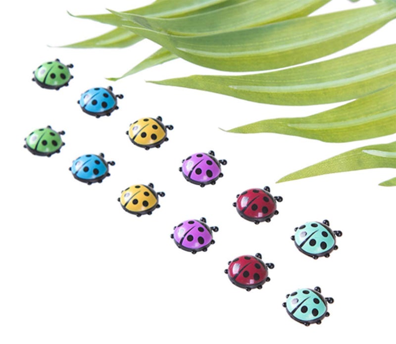 Decorative Refrigerator Magnets Perfect Fridge Magnets for House Office Personal Use 12Pcs Ladybug