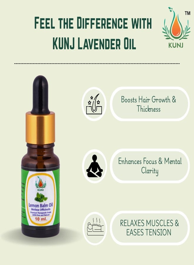 KUNJ Lemon Balm Essential Oil (Melissa Officinalis) 10ml - 100% Pure & Natural Melissa Oil | Therapeutic Grade Oil for Stress Relief, Relaxation, Sleep Support, Aromatherapy & Skin Care - Image 2