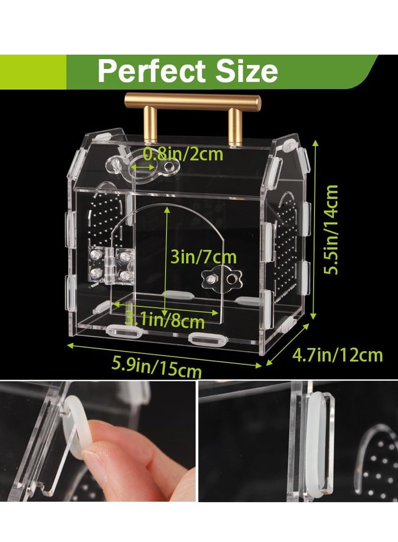 Generic Jumping Spider Enclosure Premium Acrylic Spider Enclosure   Ideal for Tarantulas  Reptiles  and Insects   Easy Assembly and Feeding All Round Transparent Terrarium - Image 2