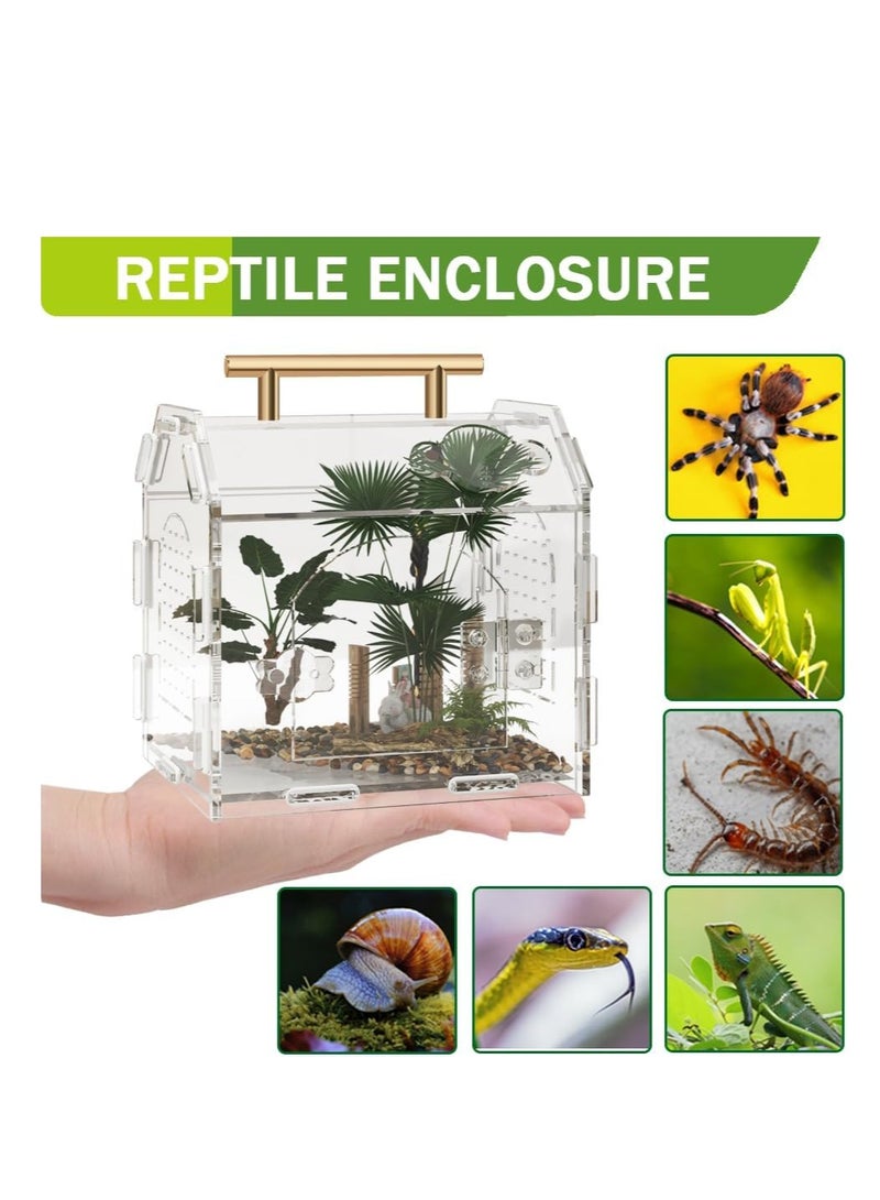 Generic Jumping Spider Enclosure Premium Acrylic Spider Enclosure   Ideal for Tarantulas  Reptiles  and Insects   Easy Assembly and Feeding All Round Transparent Terrarium - Image 4