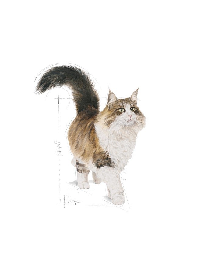 Royal Canin Instinctive Loaf Wet Puppy Cat Food 12X85 GMS - Image 2