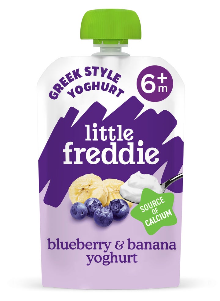 Organic Blueberry & Banana Greek Style Yoghurt baby food pouch +6m 100g