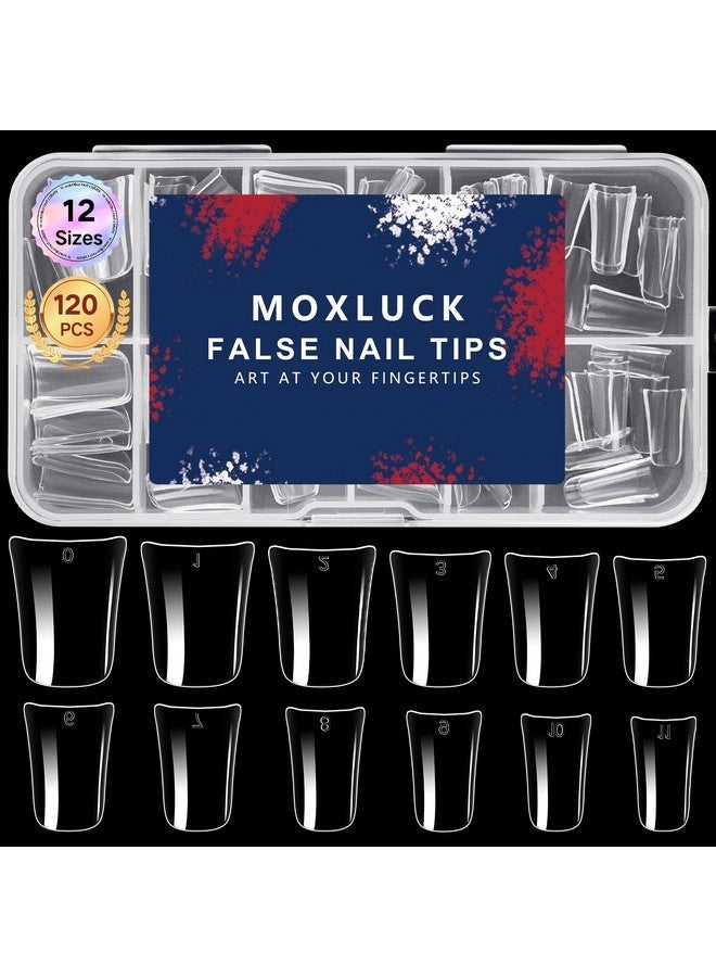 أطراف أظافر قصيرة على شكل بطة، تغطية كاملة، أطراف أظافر صناعية شفافة منحنية، 120 قطعة أظافر أكريليك على شكل بطة، أظافر صناعية فرنسية قصيرة عريضة لتمديدات الأظافر المنزلية، أطراف أظافر يدوية الصنع، 12 مقاسًا - Image 2