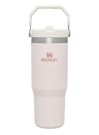 Stanley Stainless Steel Tumbler - Vacuum Insulated Water Bottle for Home, Office or Car Reusable Cup with Straw Leak Resistant Flip Cold for 12 Hours or Iced for 2 Days, 30oz - pzsku/Z834DD3C27DAA134AB040Z/45/1750037165/dc34f1a0-32c8-49ce-a583-3e0df7be46c8