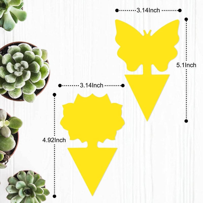 Stingmon 36 Pack Fruit Fly Traps for Indoors, Gnat Traps for House Indoor, Sticky Traps Fungus Gnats Killer for Mosquito and Flying Insects, Bug Pest Insect Catcher Killer for Houseplant - Image 2