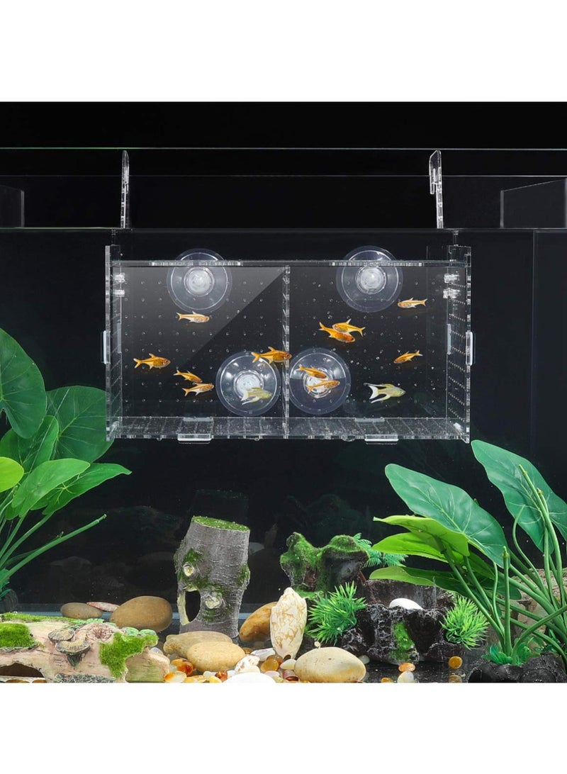 Excefore Fish Breeding Box, Acrylic Fish Isolation Box Aquarium Hatchery Incubator with Suction Cups for Baby Fishes Shrimp Guppy Clownfish Aggressive Fish - Image 3
