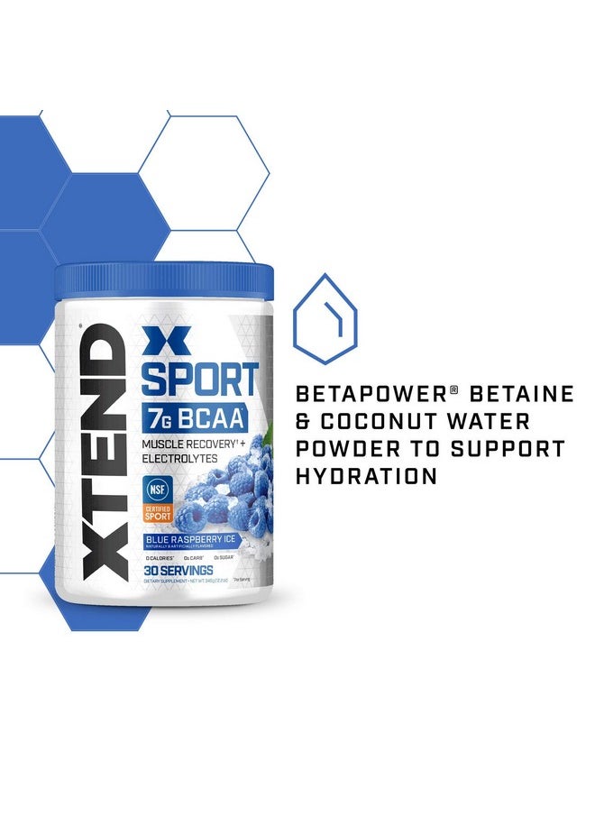 SCIVATION Xtend Sport Bcaa Powder Blue Raspberry Ice Electrolyte Powder For Recovery & Hydration With Amino Acids 30 Servings  - Image 4