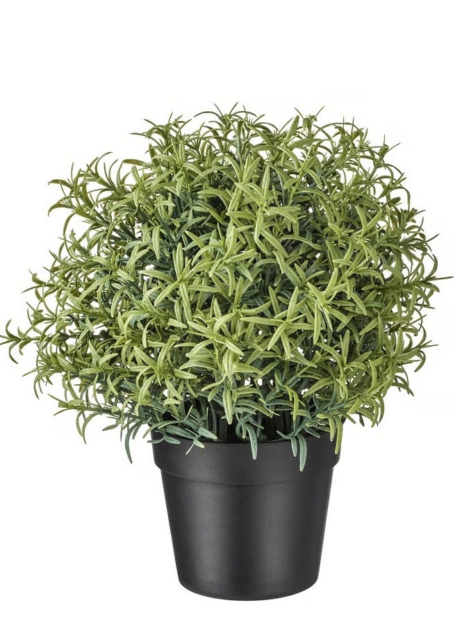 آيكيا فراكتا نبات صناعي في آنية, زعتر, 9×22 سم - Image 1