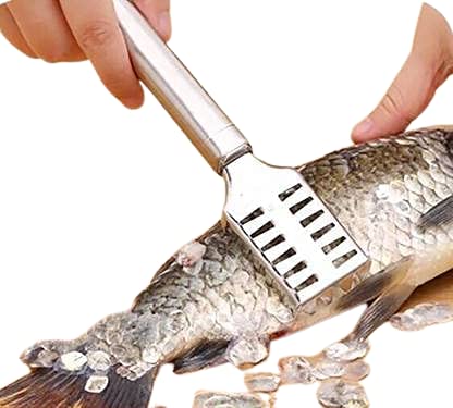 BEKNER Fish Scaler Brush Fish Scaler Remover with Stainless Steel SawtoothErgonomic Handle Design Easily Remove Fish ScalesCleaning Brush Scraper Kitchen Tool Pack 1 - Image 4