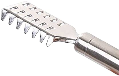 BEKNER Fish Scaler Brush Fish Scaler Remover with Stainless Steel SawtoothErgonomic Handle Design Easily Remove Fish ScalesCleaning Brush Scraper Kitchen Tool Pack 1 - Image 2