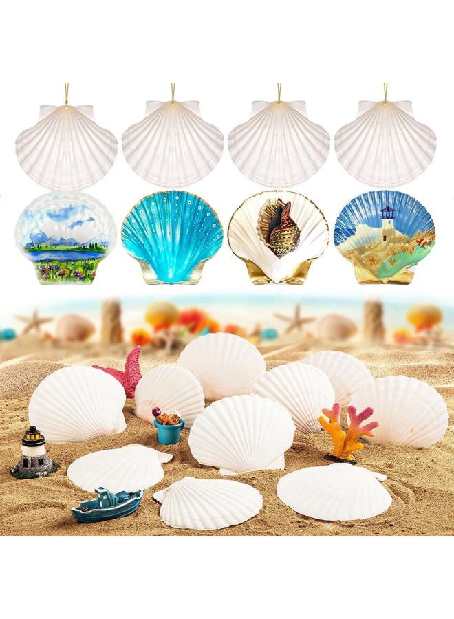 YUNMOE 12PCS Large Natural Scallop Shells 4''-5'' White Sea Shells for DIY Craft Making, Hand Painting, Ocean Themed Party and Home Décor - Image 3