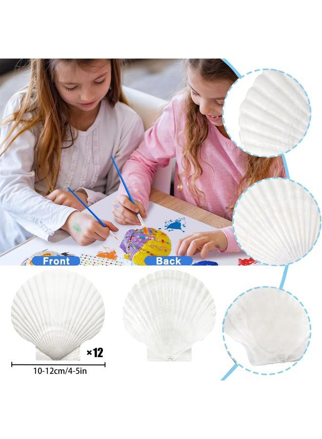 YUNMOE 12PCS Large Natural Scallop Shells 4''-5'' White Sea Shells for DIY Craft Making, Hand Painting, Ocean Themed Party and Home Décor - Image 2