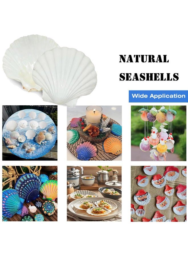 YUNMOE 12PCS Large Natural Scallop Shells 4''-5'' White Sea Shells for DIY Craft Making, Hand Painting, Ocean Themed Party and Home Décor - Image 5