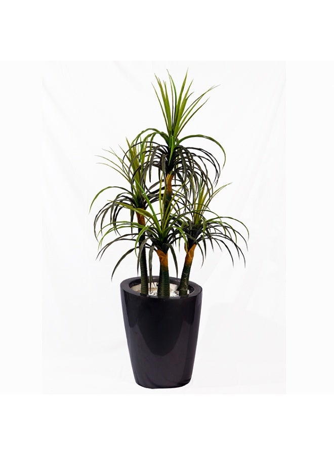 Artificial Dracaena Marginata