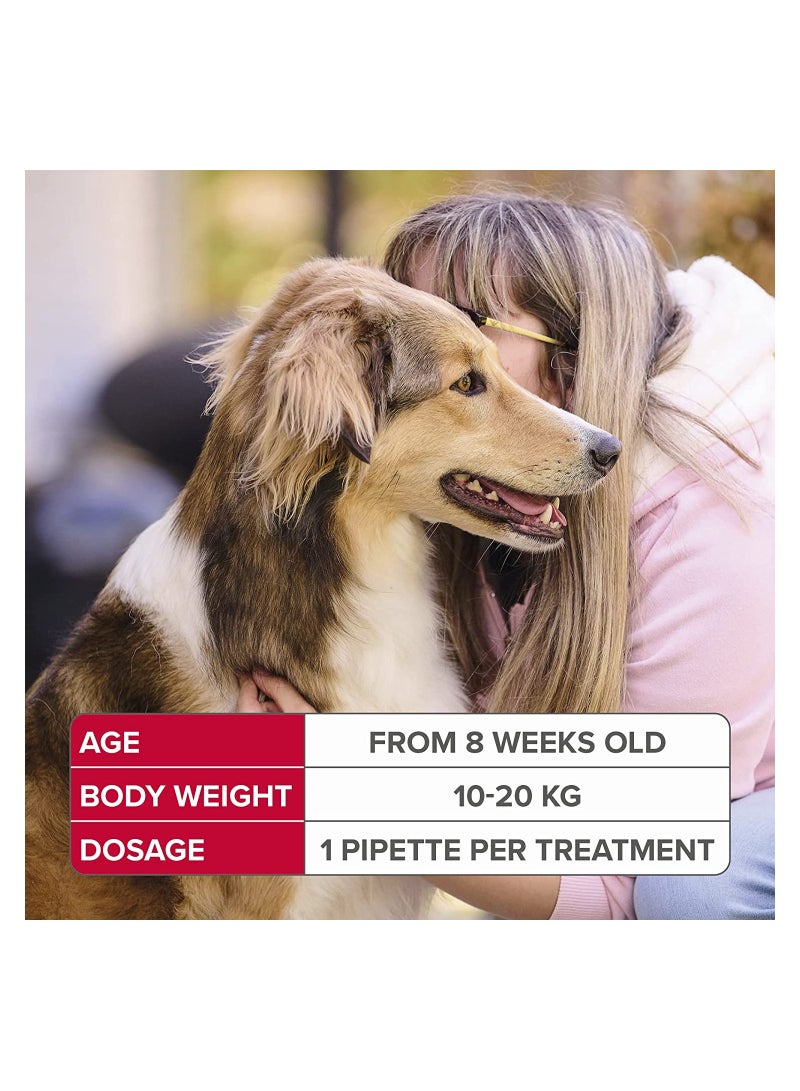 بيفار فيبروتيك سبوت أون للكلاب المتوسطة 4 ماصة 134 مجم - Image 2