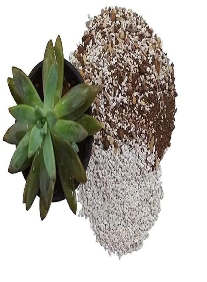 KOO Retails Pumice Stone/Rock 1Kg- 4-8mm (S) Size, Natural Aquarium Filter- Plant Soil - Image 3