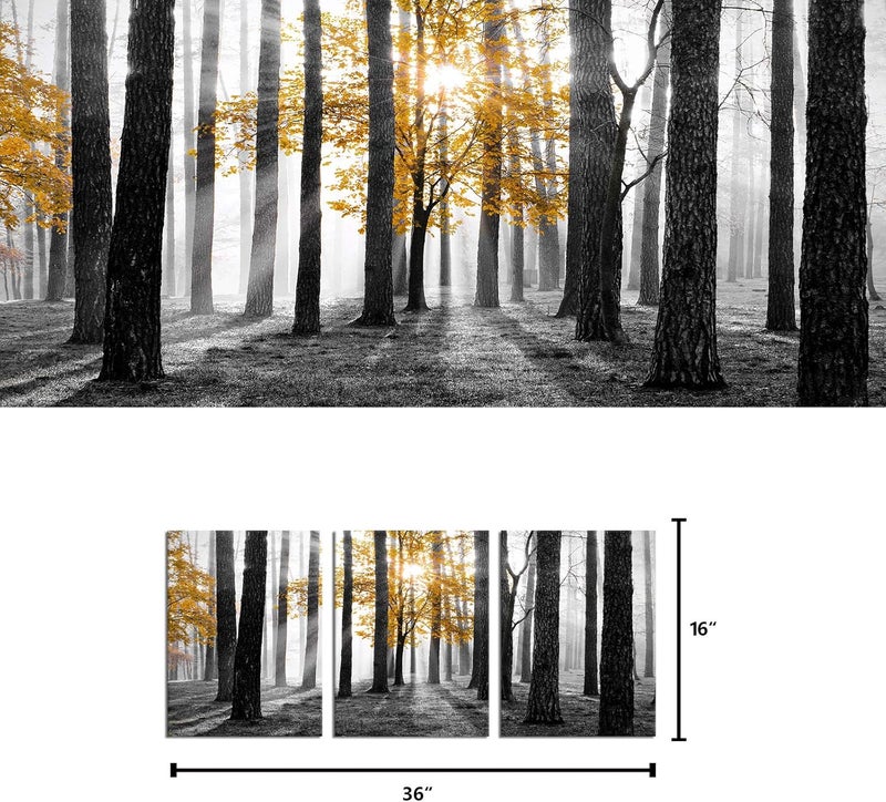 Kalormore 3-Piece Black and White Forest Canvas Art - Image 5