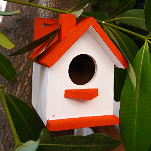 Cket Bird House Nest Box Breeding House for Sparrow, Budgies and Finches Eco Friendly Pure Wooden for Garden Balcony Hanging HS02 - Image 3