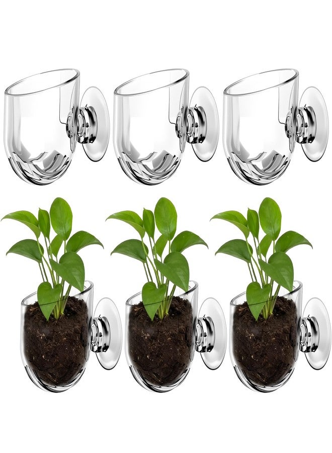 DAWZMR 6 Pcs Aquarium Plant Holder, Suction Cup Fish Tank Plant, Clear Shower Aquatic Plant Pots - Image 1