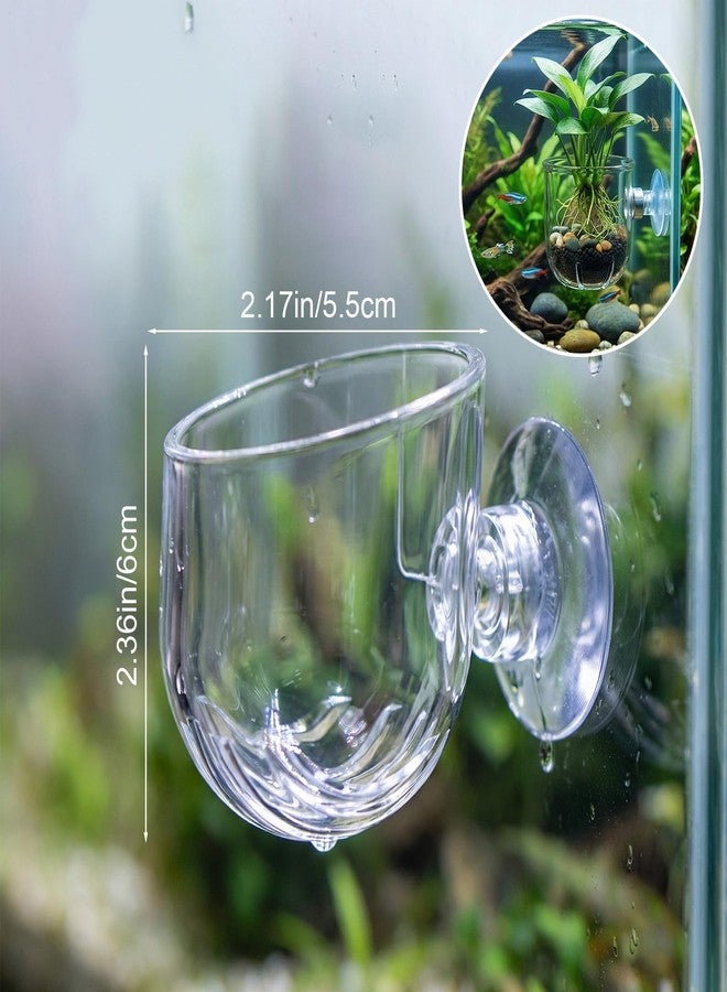 DAWZMR 6 Pcs Aquarium Plant Holder, Suction Cup Fish Tank Plant, Clear Shower Aquatic Plant Pots - Image 3