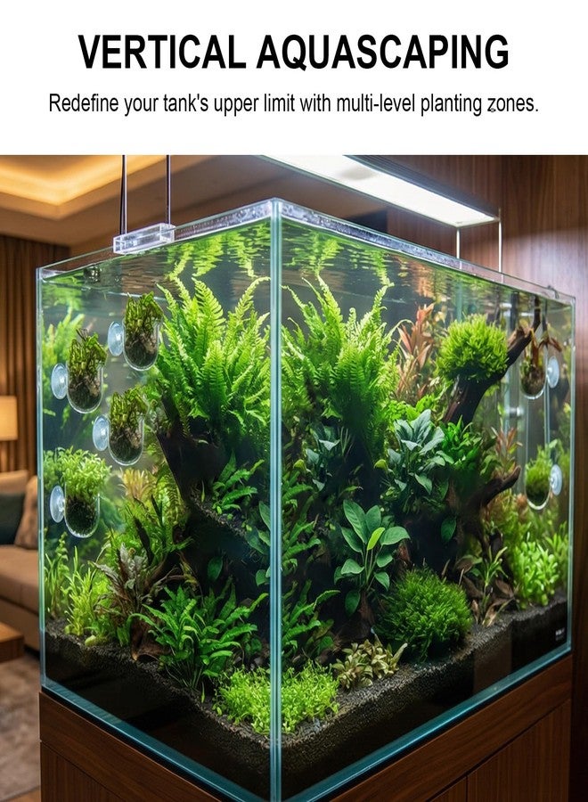 DAWZMR 6 Pcs Aquarium Plant Holder, Suction Cup Fish Tank Plant, Clear Shower Aquatic Plant Pots - Image 2
