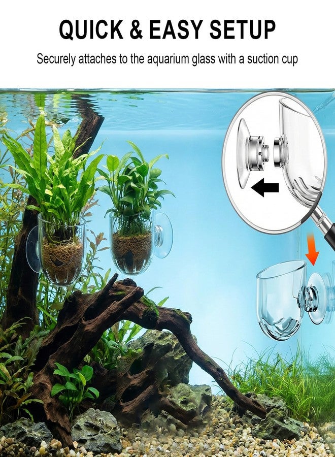 DAWZMR 6 Pcs Aquarium Plant Holder, Suction Cup Fish Tank Plant, Clear Shower Aquatic Plant Pots - Image 4