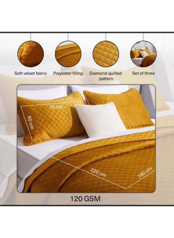 Pan Home طقم غطاء سرير مخمل مزخرف 3 قطع فيرونيكا 160x220 سم - ذهبي - Image 4