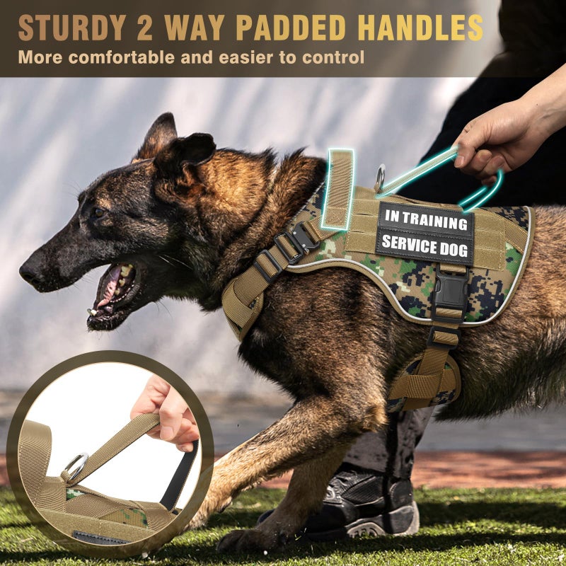 WINSEE Tactical Dog Harness for Medium Dog, Heavy Duty Service Working MOLLE Vest with 10 Pet Patches, 2X Metal Buckle Vest for Training Hunting Walking - Image 4
