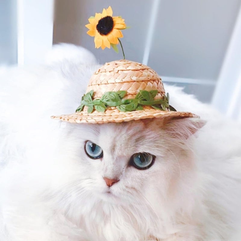 Small Pet Sunflower Straw Hat For Dogs And Cats Delicate Woven Headgear For Photos And Outdoor Use - Image 5