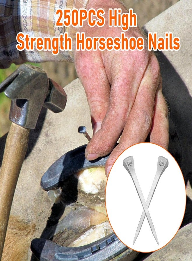 VINGVO 250pcs Horse Shoes, 2.1 Inches E6 Horseshoes Nails, Stainless Steel Horse Shoeing Tools, 2.1" Hoof Horseshoe Tools, Securing Firmly Accessory for Horses Training Equestrian Sports, Horse Race (250) - Image 4
