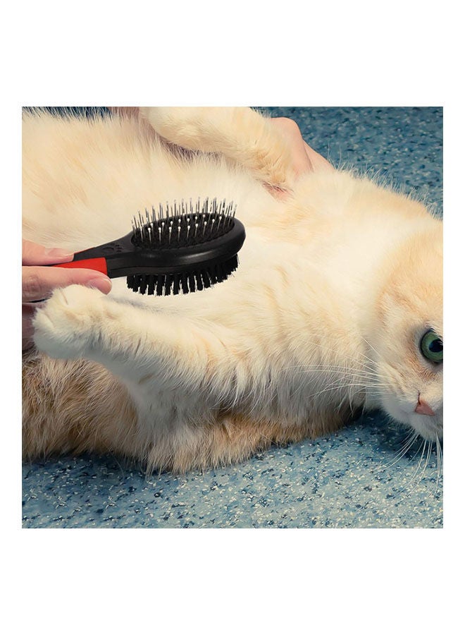 جولدن أروز فرشاة مزدوجة الجوانب 2 في 1 للعناية بالحيوانات الأليفة مقاس L - ‎21.9 x 6 x 5 سم - Image 2