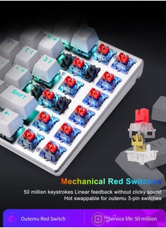 E-YOOSO Z-88 RGB Mechanical Gaming Keyboard, Metal Panel, Red Switches, 75% Compact 81 Keys for Mac, PC, Silver and White  - Image 4
