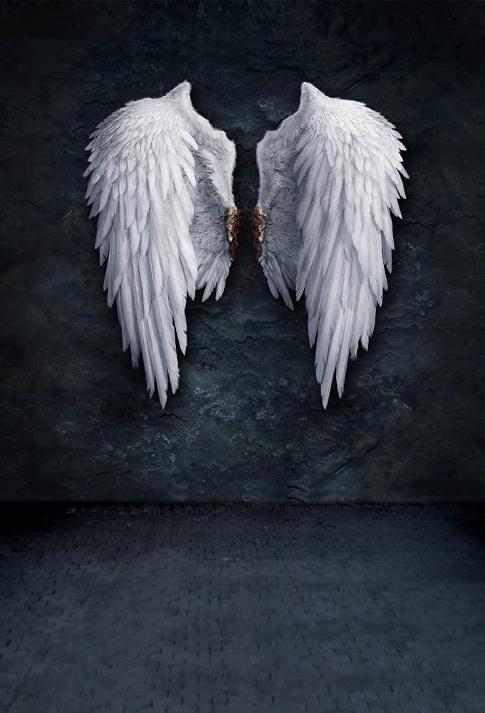AOFOTO 5x7ft Angel Wings Backdrop Grunge Wall Photography Background Fashion Youngster Kid Girl Boy Adult Artistic Portrait Photo Shoot Studio Props Video Drop Wallpaper Drape