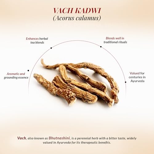 Dr Arya Vach Root Acorus Calamus 100g | Whole Vacha Bach Vasambu Sticks Natural Dried Sweet Flag Root Traditional Ayurvedic Herb Raw Jadi Buti for Home Use - Image 4