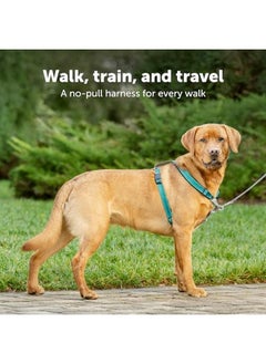 PetSafe 3 In 1 No Pull Dog Harness For Small Dogs Walk Train Or Travel Helps Pets From Pulling On Walks Seatbelt Loop Doubles As Quick Access Handle Reflective Extra Small Plum  - Image 2