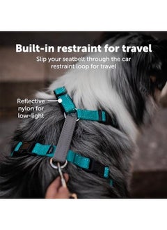PetSafe 3 In 1 No Pull Dog Harness For Small Dogs Walk Train Or Travel Helps Pets From Pulling On Walks Seatbelt Loop Doubles As Quick Access Handle Reflective Extra Small Plum  - Image 3