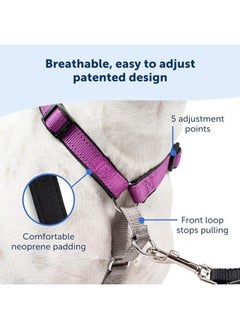 PetSafe 3 In 1 No Pull Dog Harness For Small Dogs Walk Train Or Travel Helps Pets From Pulling On Walks Seatbelt Loop Doubles As Quick Access Handle Reflective Extra Small Plum  - Image 4