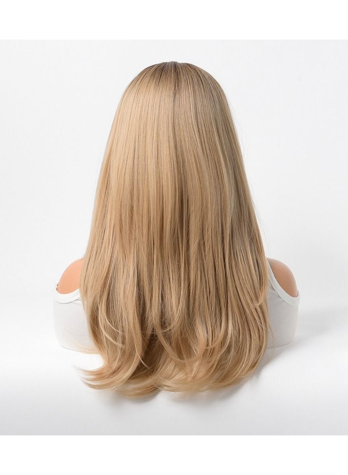 إستيل شعر مستعار كامل للباروكة الاصطناعية مقاومة للحرارة شعر مستعار طبيعي طويل مستقيم مع الانفجارات سيدة الألياف باروكة أنيقة شقراء داكنة - Image 4