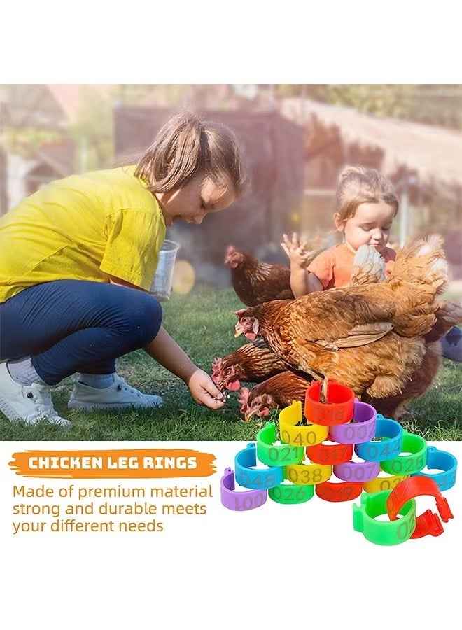 100 Pieces Chicken Leg Rings,Numbered Bands,Colorful Poultry Clip-on Ankle for Ducks Chicks Pigeons Goose,5 Colors - Image 4