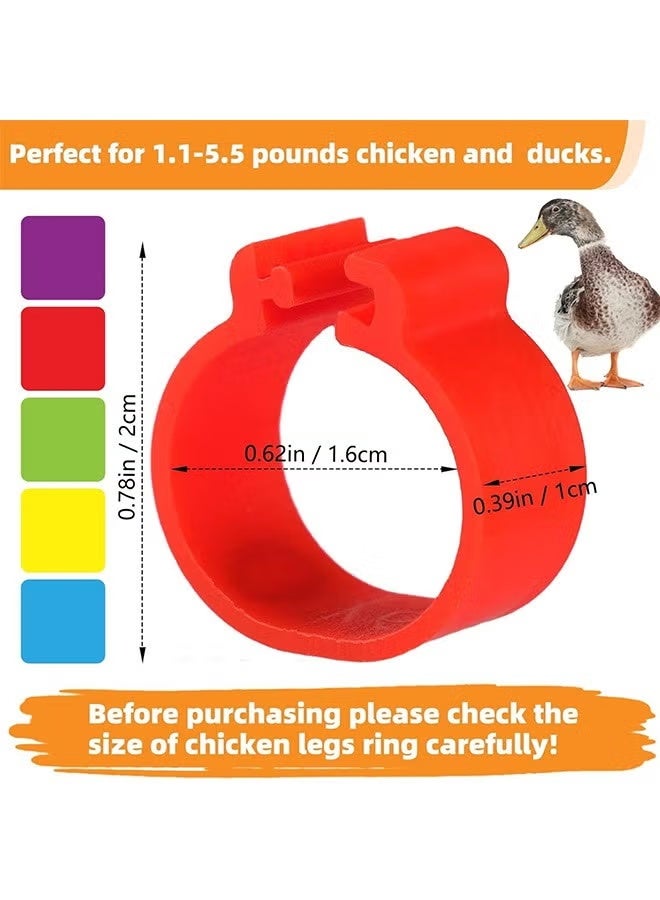100 Pieces Chicken Leg Rings,Numbered Bands,Colorful Poultry Clip-on Ankle for Ducks Chicks Pigeons Goose,5 Colors - Image 2