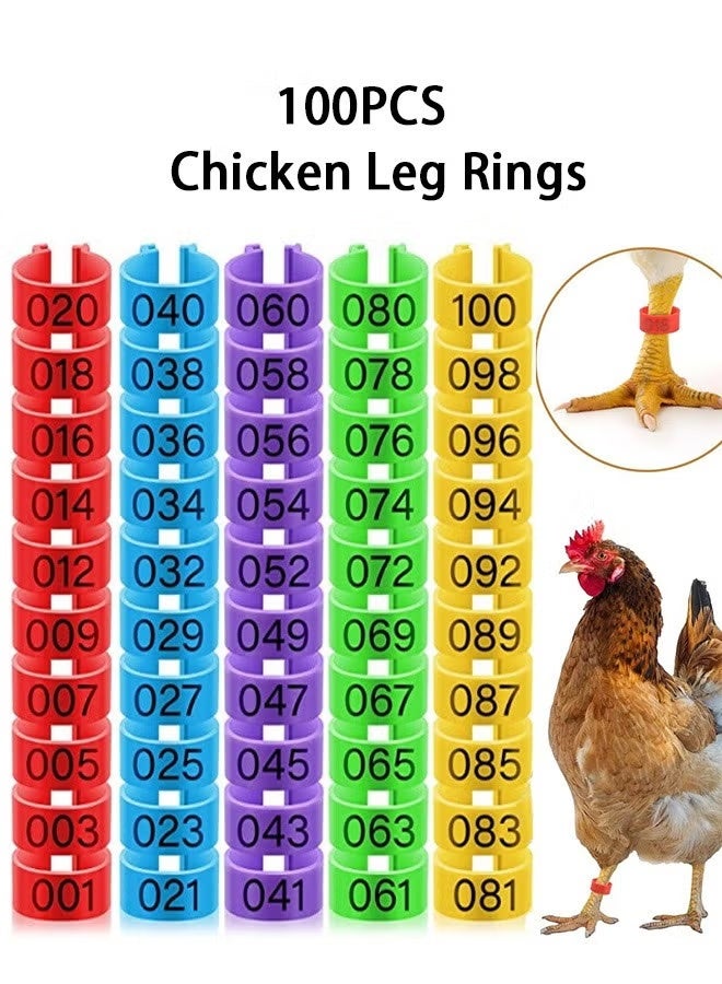 100 Pieces Chicken Leg Rings,Numbered Bands,Colorful Poultry Clip-on Ankle for Ducks Chicks Pigeons Goose,5 Colors - Image 1