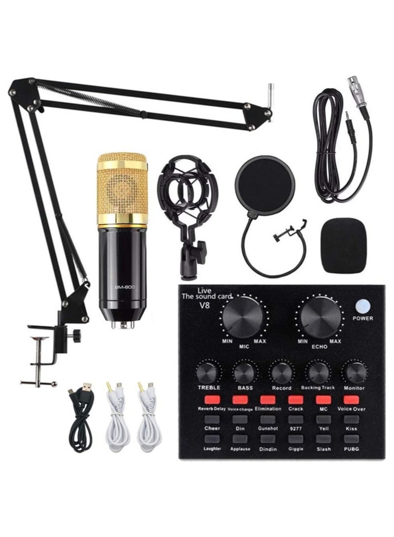 Condenser Microphone Set with Live Sound Card for Studio Recording and Broadcasting, Adjustable Suspension Microphone Gold - Image 1