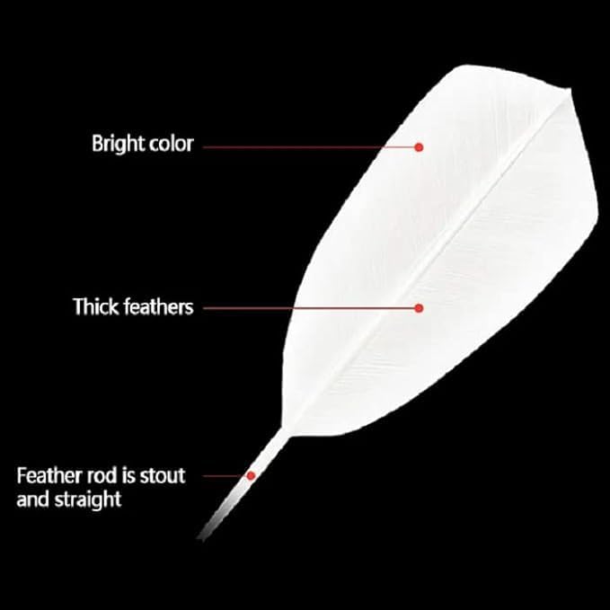 Red Ant Gold Series Feather Shuttlecock (Pack of 10 E) - Image 2