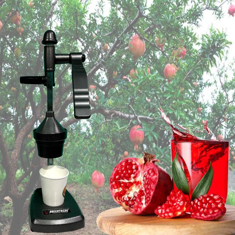 BRIGHTBERG BRIGHTBERG Hand Pressure JuicerFruits JuicerVegetable JuicerManual Hand Juicer Juicer30  - Image 4
